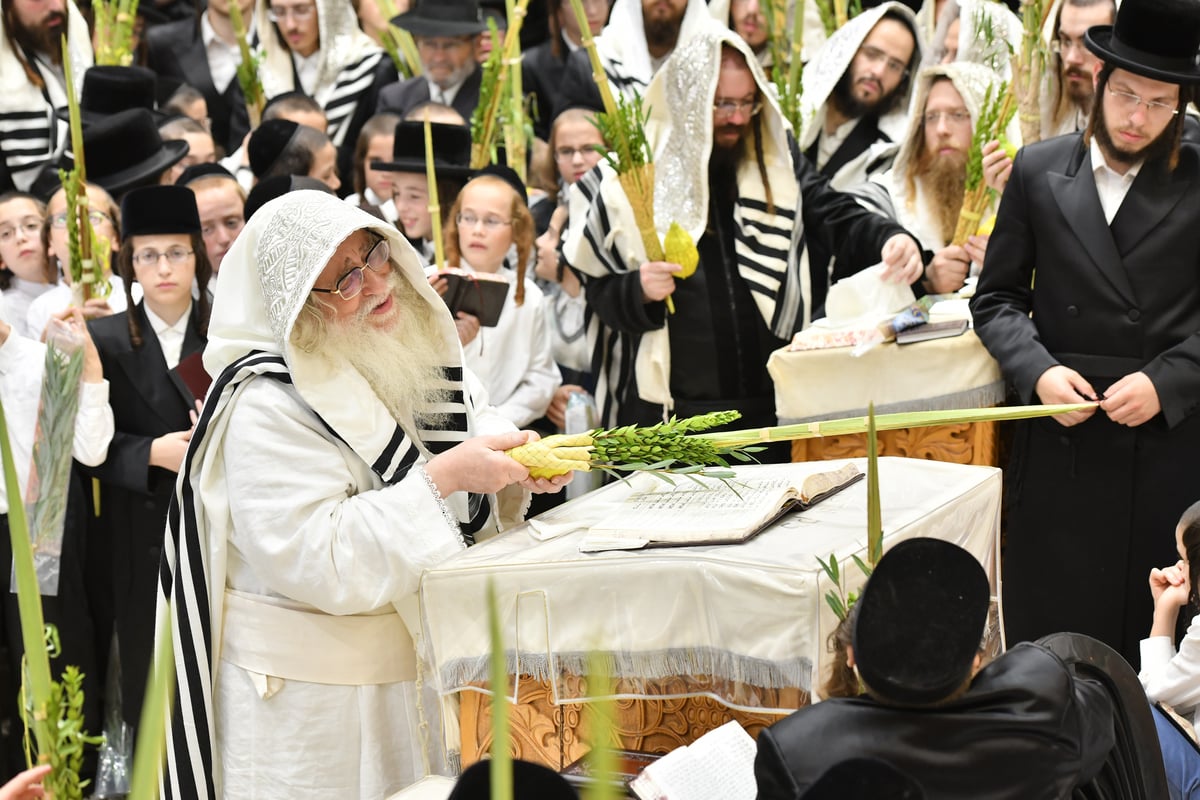 'הושענא רבה' וההקפות שניות בחסידות צאנז