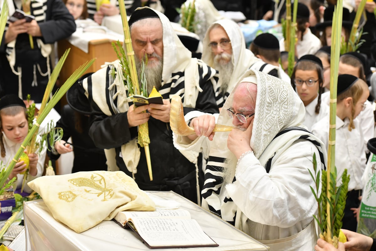 'הושענא רבה' וההקפות שניות בחסידות צאנז