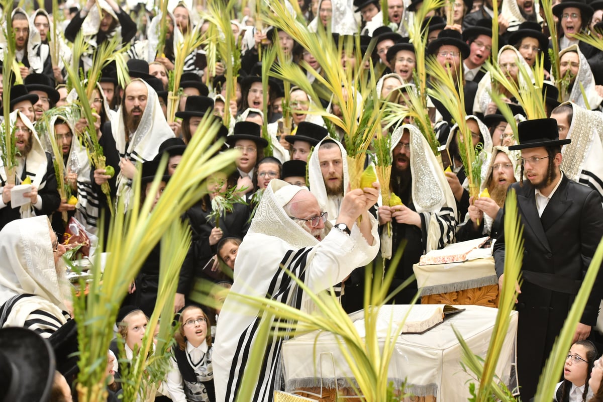 'הושענא רבה' וההקפות שניות בחסידות צאנז