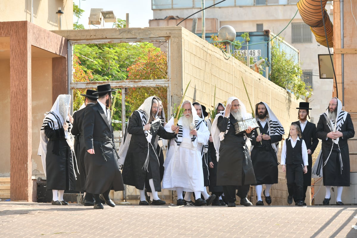 'הושענא רבה' וההקפות שניות בחסידות צאנז