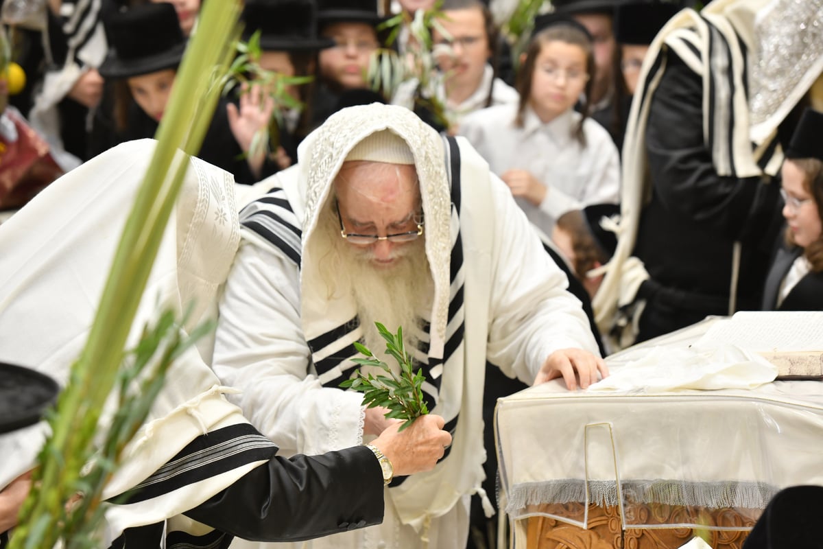 'הושענא רבה' וההקפות שניות בחסידות צאנז