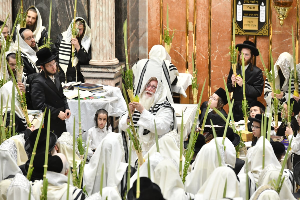 'הושענא רבה' וההקפות שניות בחסידות צאנז