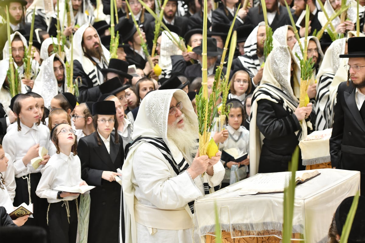 'הושענא רבה' וההקפות שניות בחסידות צאנז