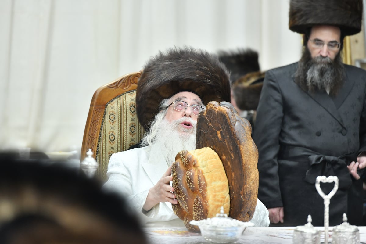 'הושענא רבה' וההקפות שניות בחסידות צאנז