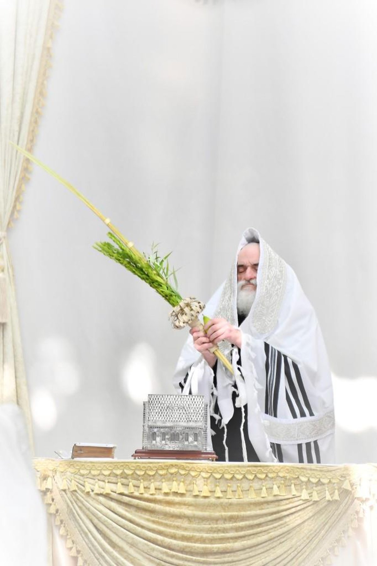 כך חגגו את חגי תשרי בחצר הקודש ויז'ניץ