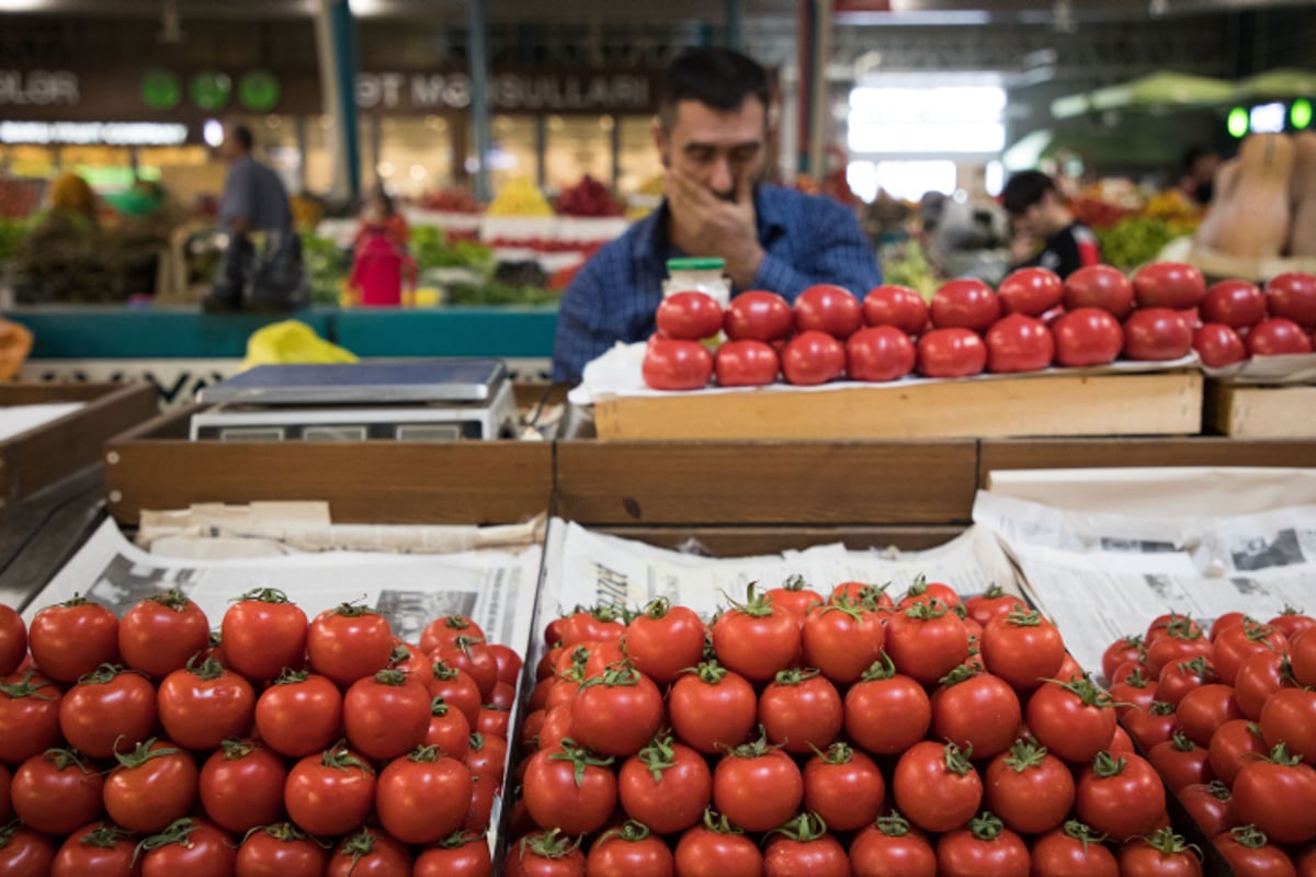 טיול לאזרבייג'אן הקסומה דרך עדשת המצלמה