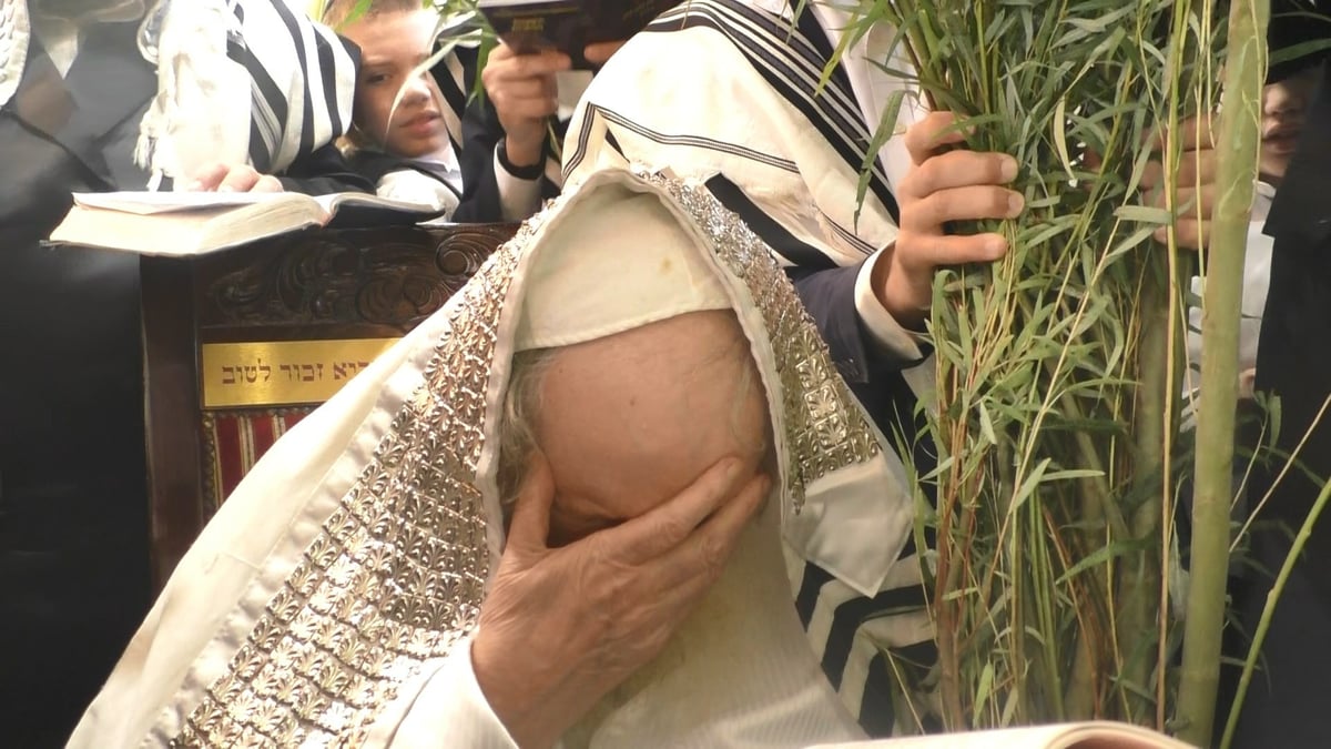 גלריה מסכמת: חג הסוכות אצל הגר"מ שטרנבוך