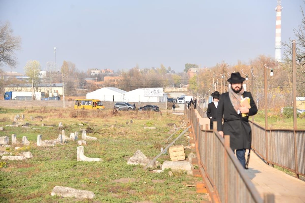 כך ציינו בברדיטשוב את הילולת סנגורן של ישראל