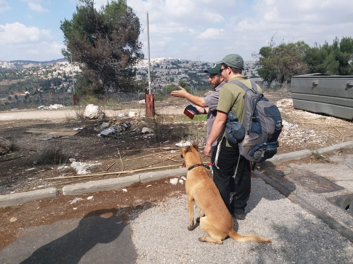 תיעוד: חיפושים נרחבים אחרי יוכבד קורן, נעדרת חרדית