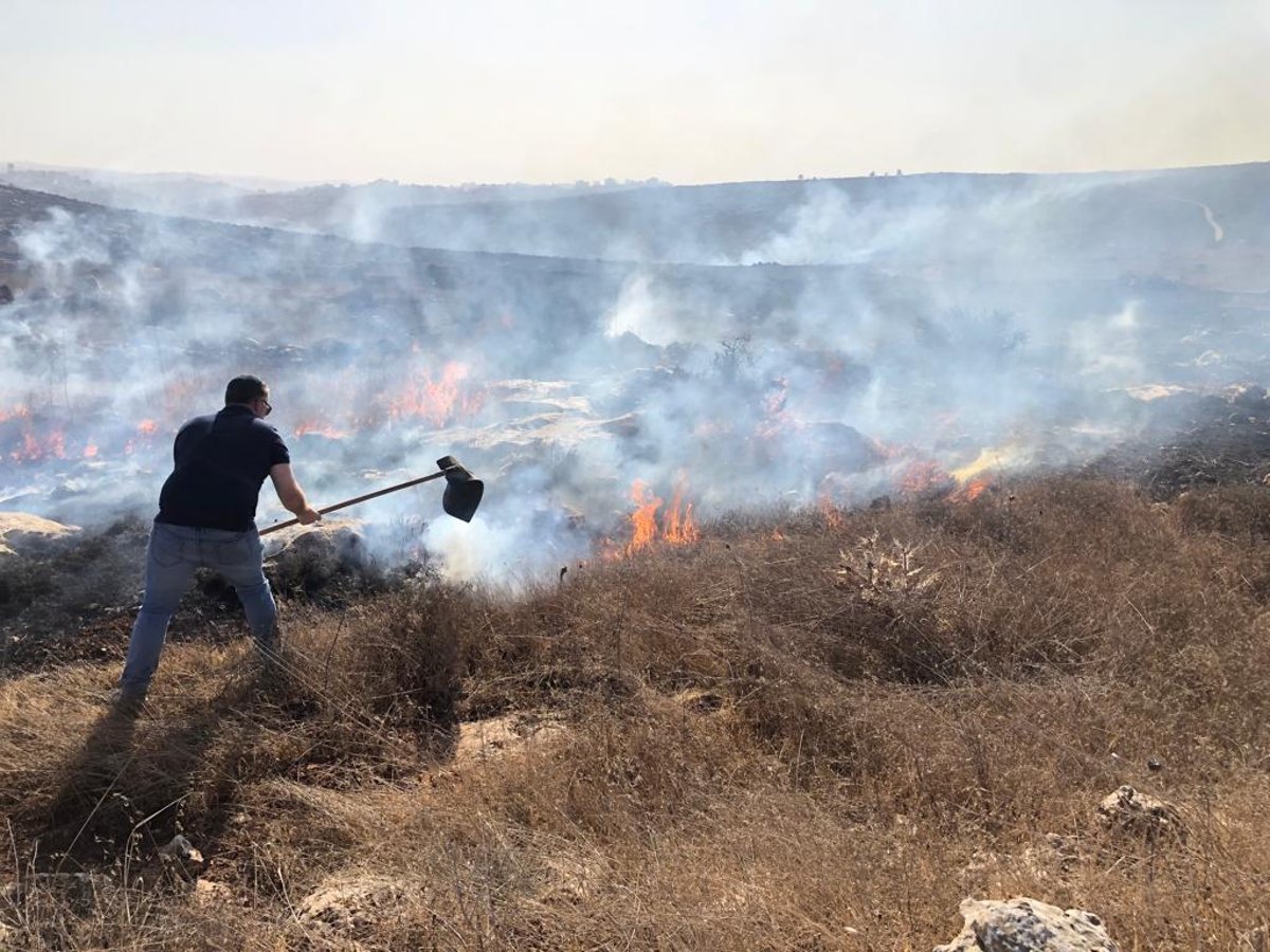 שריפת קוצים ליד בית חגי; 10 בתים מפונים