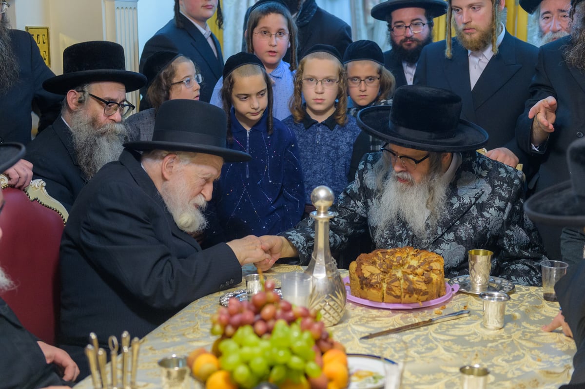 תיעוד: האדמו"ר מסאטמר בביקור בלונדון