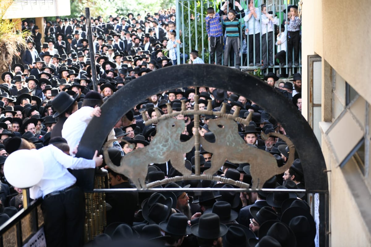 ה'חזונאישניקים' ליוו את רבם למנוחות. תיעוד