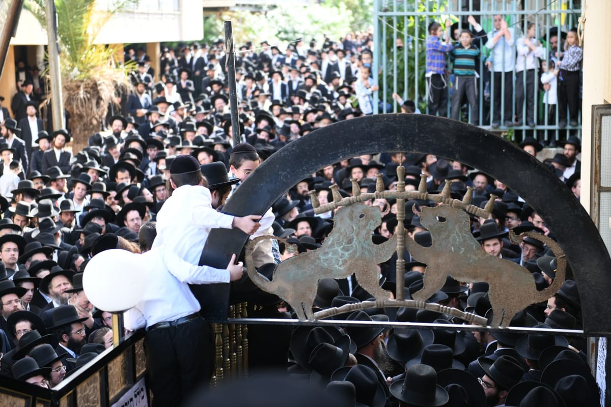 ה'חזונאישניקים' ליוו את רבם למנוחות. תיעוד