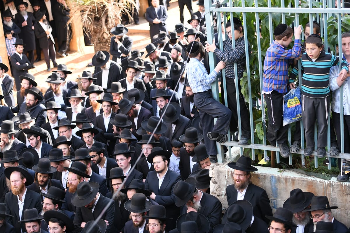 ה'חזונאישניקים' ליוו את רבם למנוחות. תיעוד