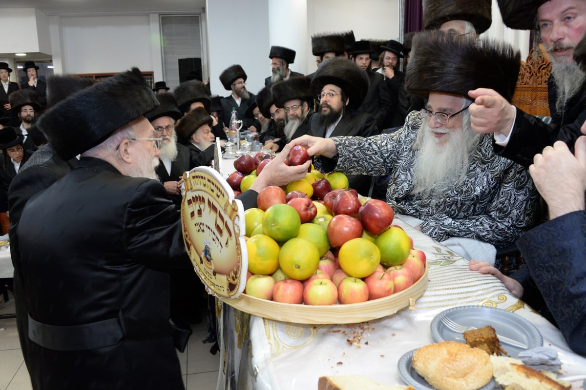 חסידי צאנז בחיפה העניקו 'שעות רצופות' לאדמו"ר