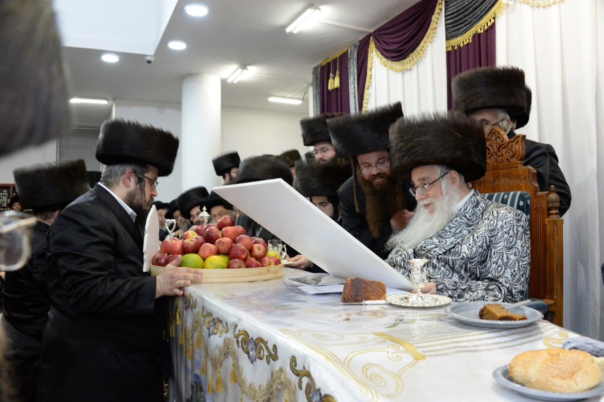 חסידי צאנז בחיפה העניקו 'שעות רצופות' לאדמו"ר