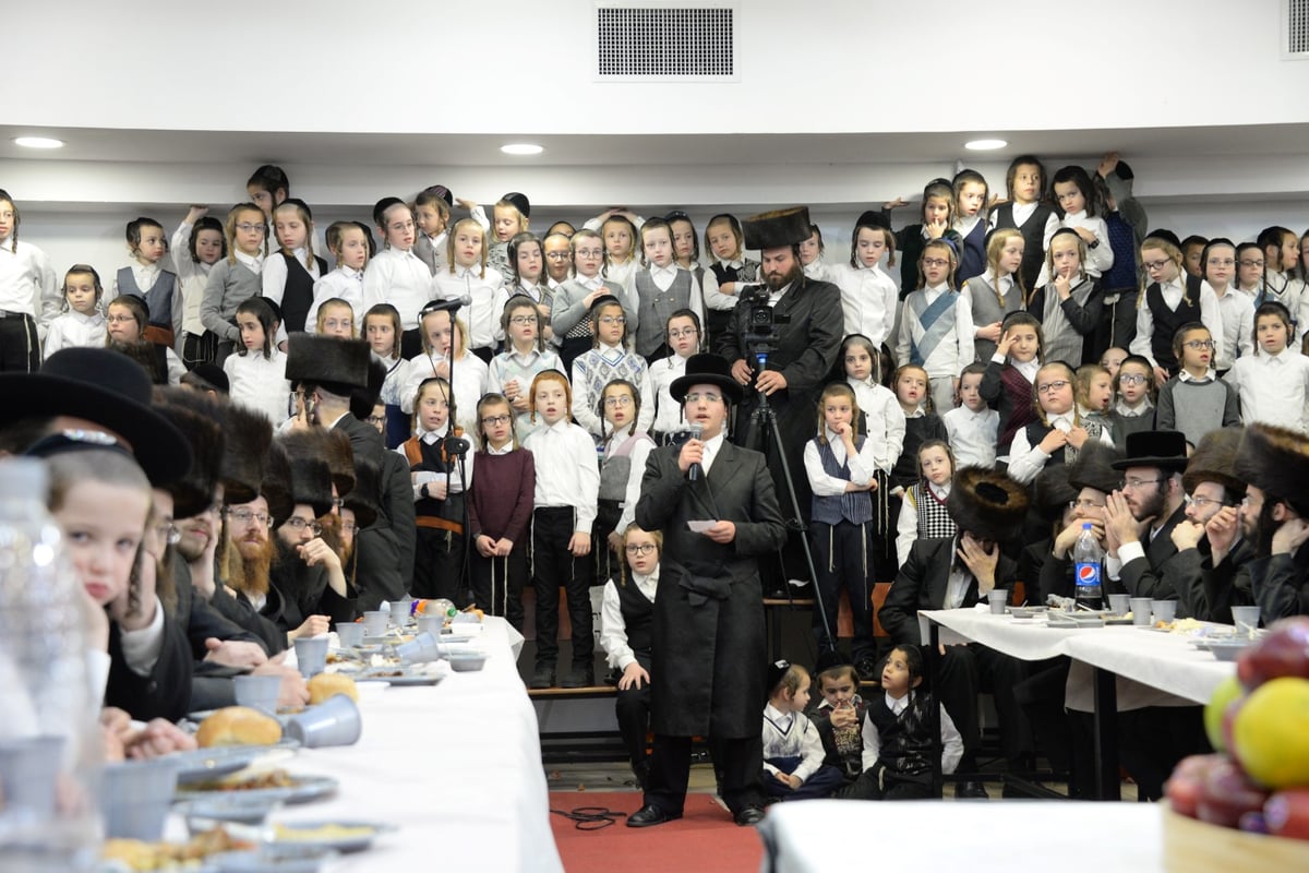 חסידי צאנז בחיפה העניקו 'שעות רצופות' לאדמו"ר