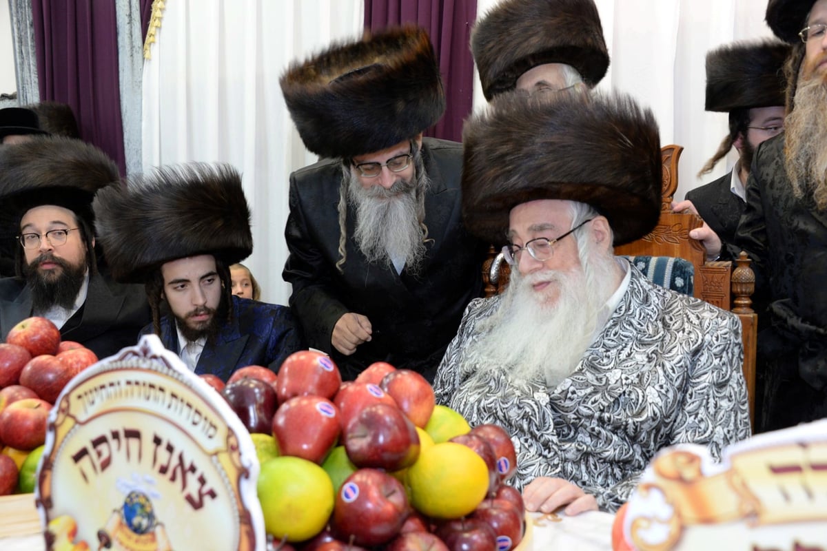 חסידי צאנז בחיפה העניקו 'שעות רצופות' לאדמו"ר