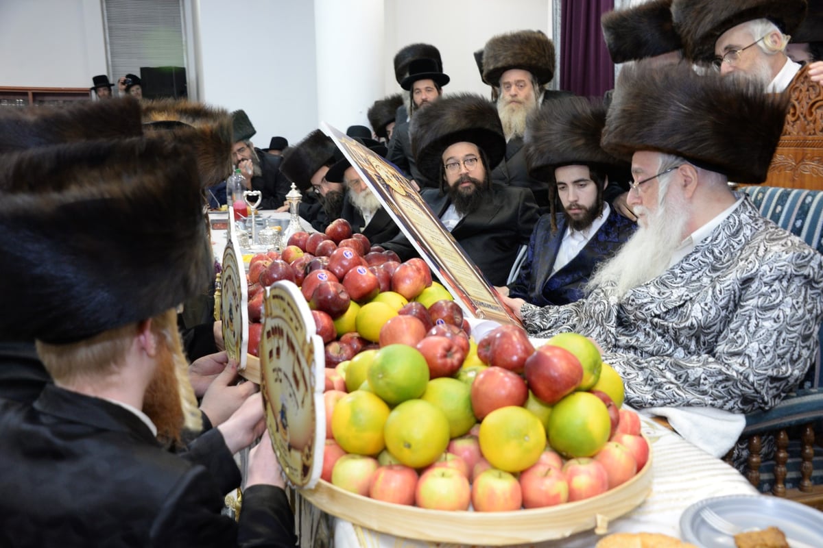 חסידי צאנז בחיפה העניקו 'שעות רצופות' לאדמו"ר