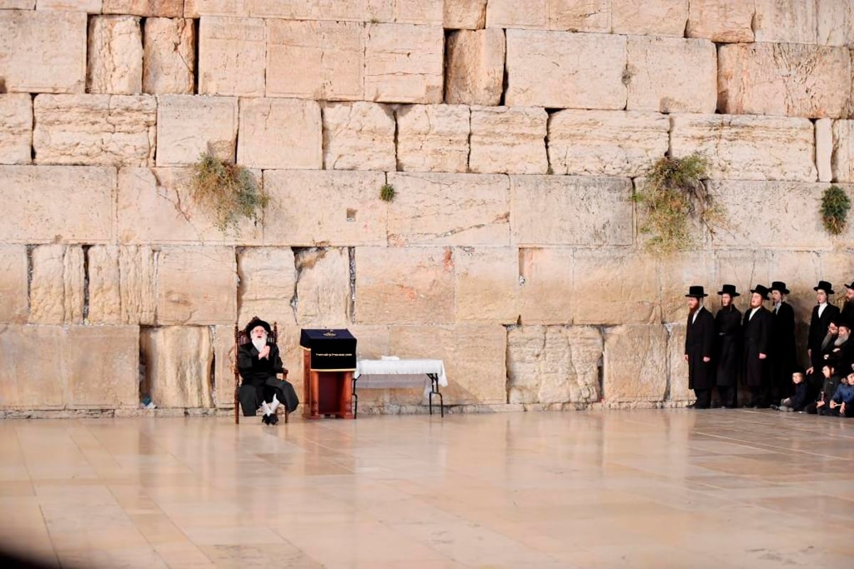 הרבי מויז'ניץ רקד עם נכדיו החתנים ברחבת הכותל