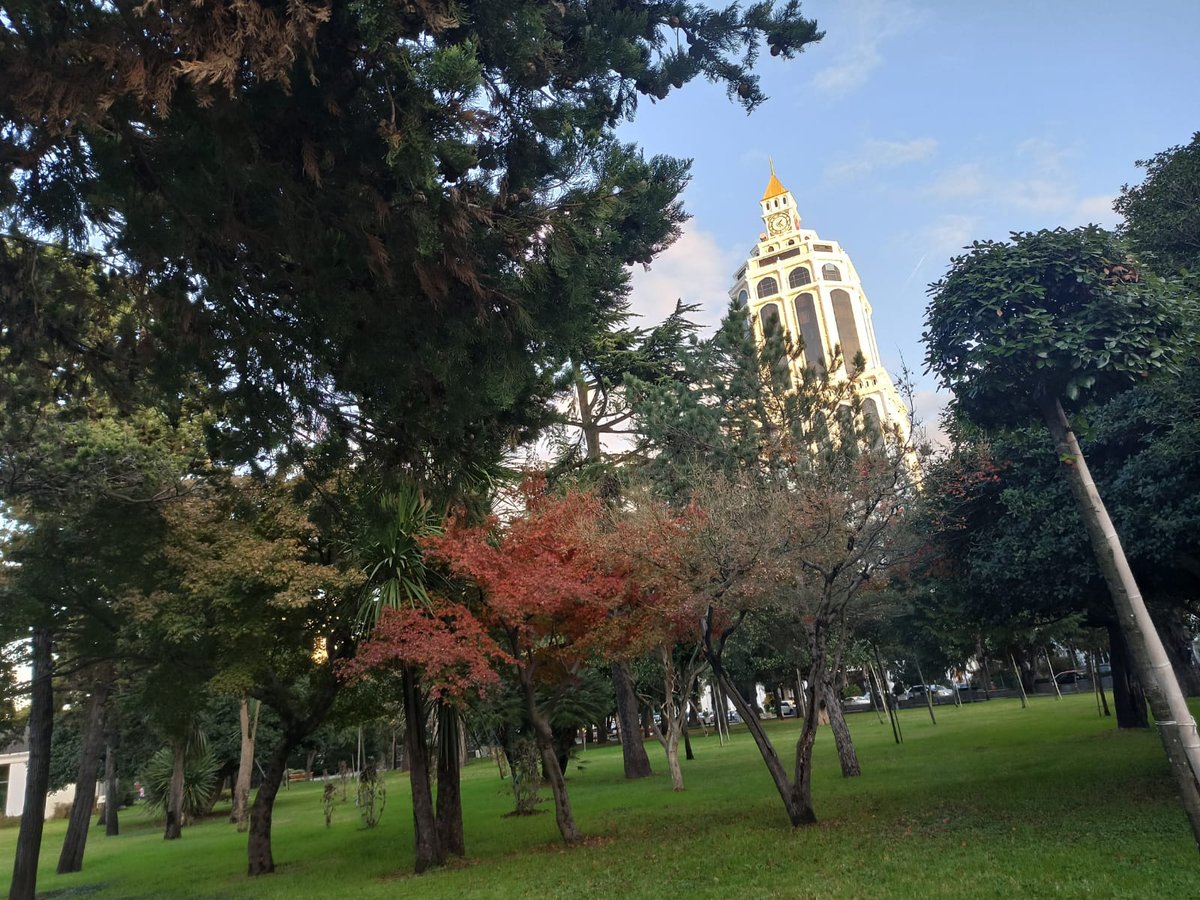 יופי גיאורגי כזה עוד לא ראיתם • תיעוד נרחב