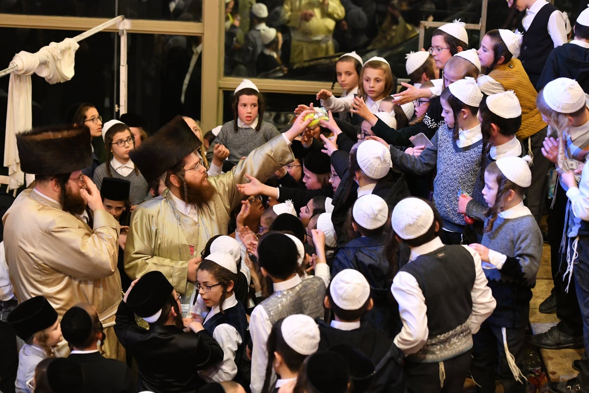 בתולדות אברהם יצחק חגגו את נישואי נכדת האדמו"ר