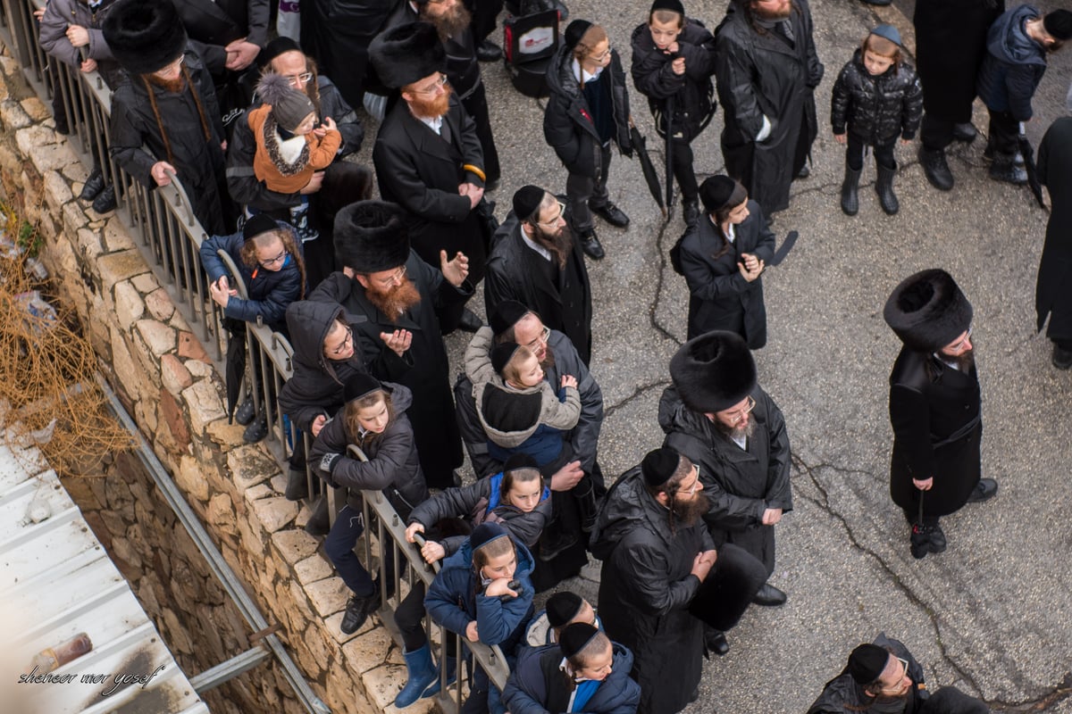 100 רגעים: החב"דניקים תיעדו את החופה בגור