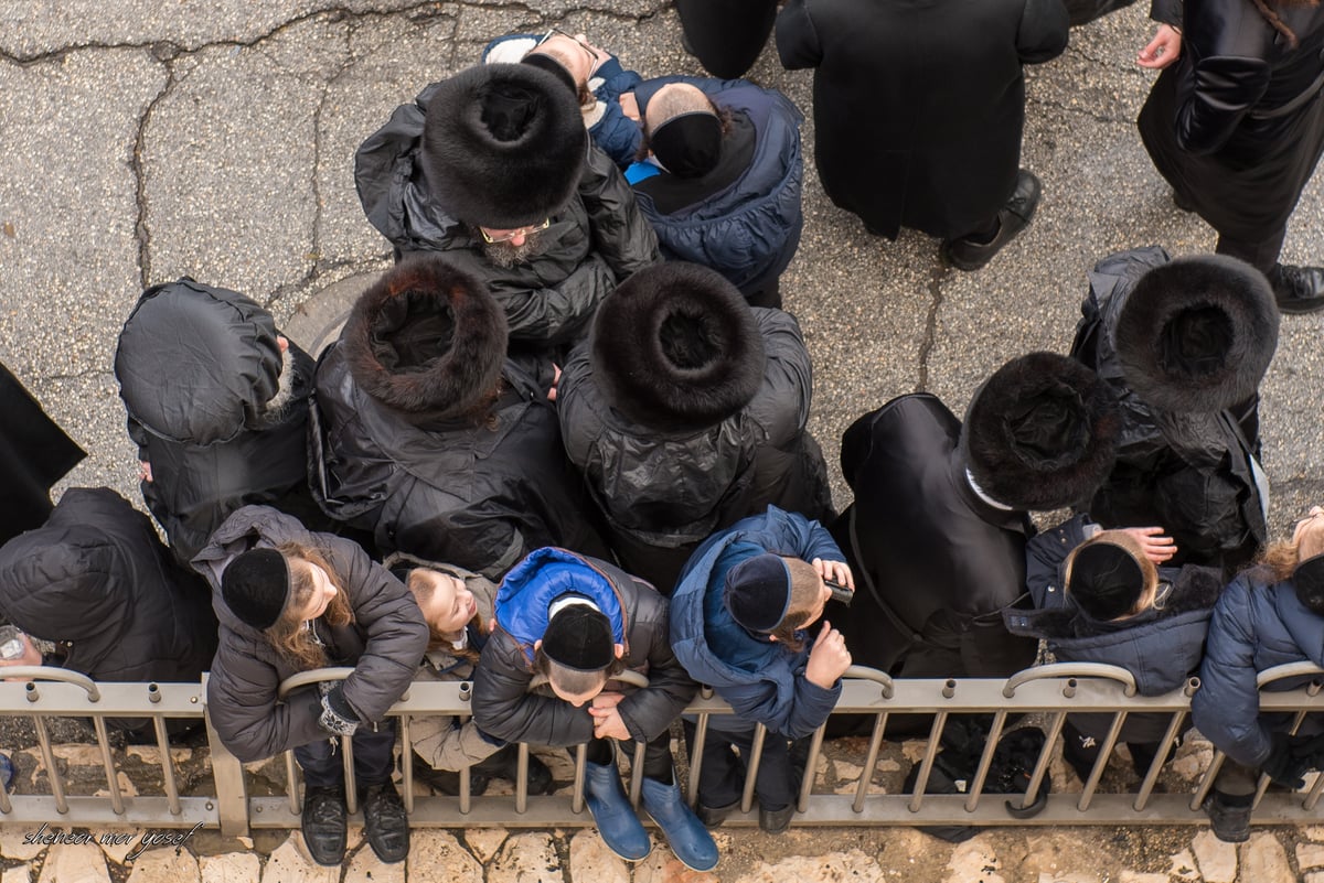 100 רגעים: החב"דניקים תיעדו את החופה בגור