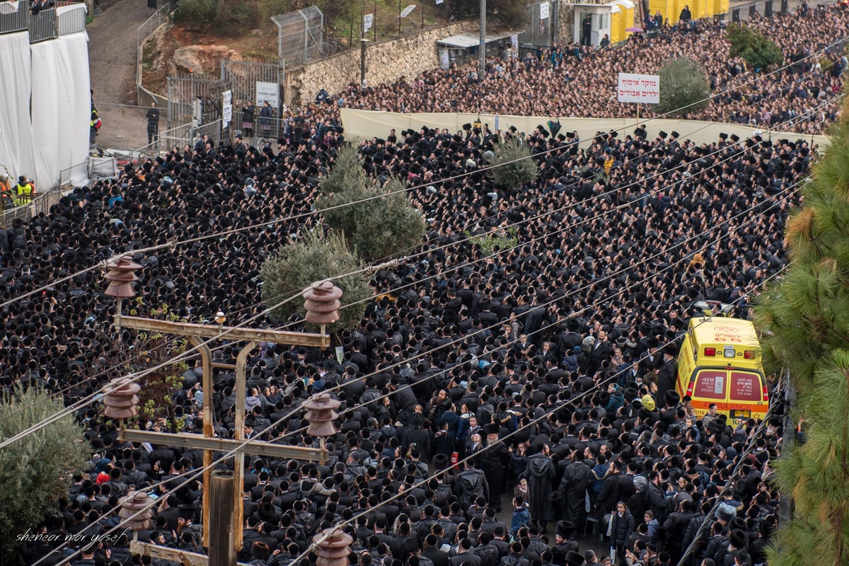 100 רגעים: החב"דניקים תיעדו את החופה בגור