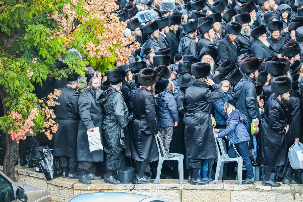 100 רגעים: החב"דניקים תיעדו את החופה בגור