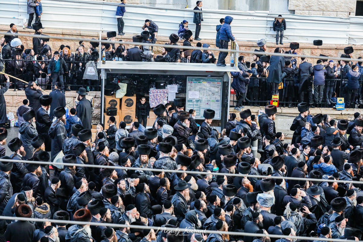 100 רגעים: החב"דניקים תיעדו את החופה בגור