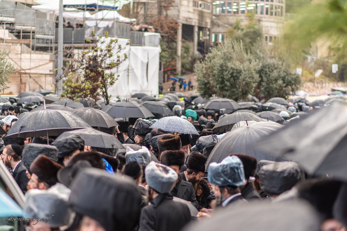 100 רגעים: החב"דניקים תיעדו את החופה בגור