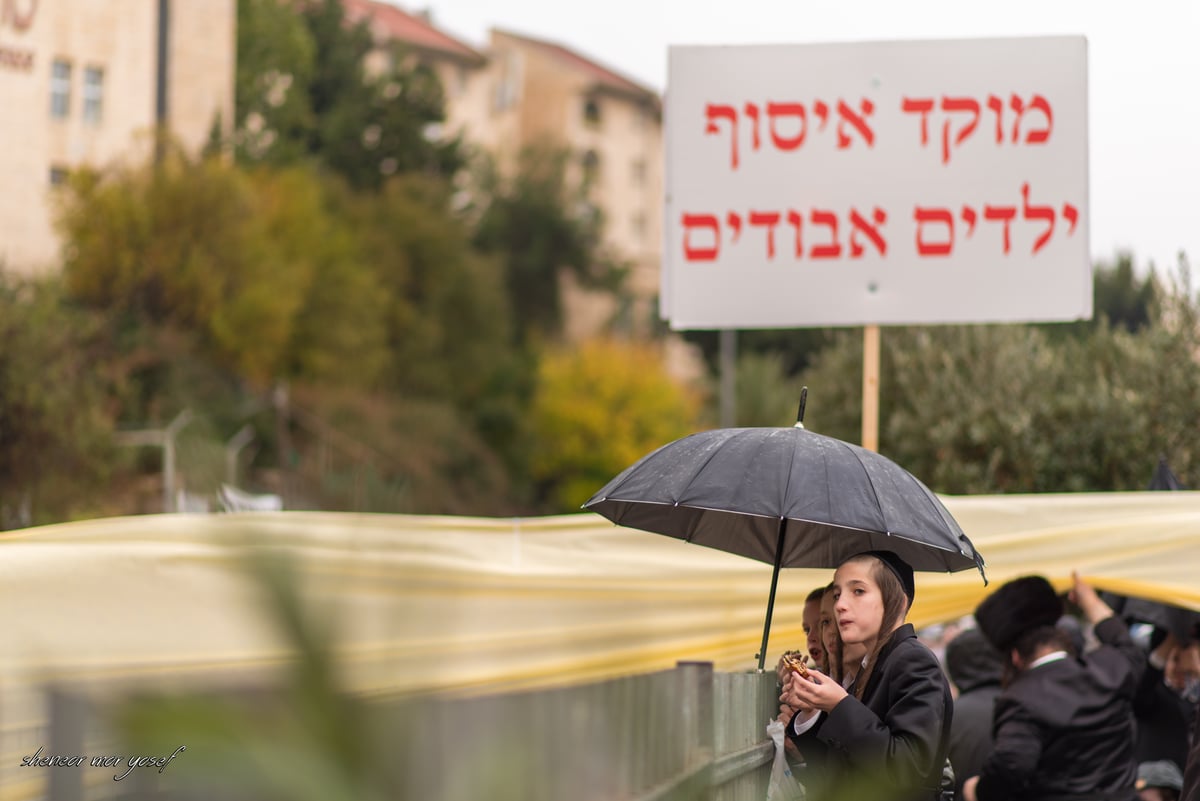 100 רגעים: החב"דניקים תיעדו את החופה בגור