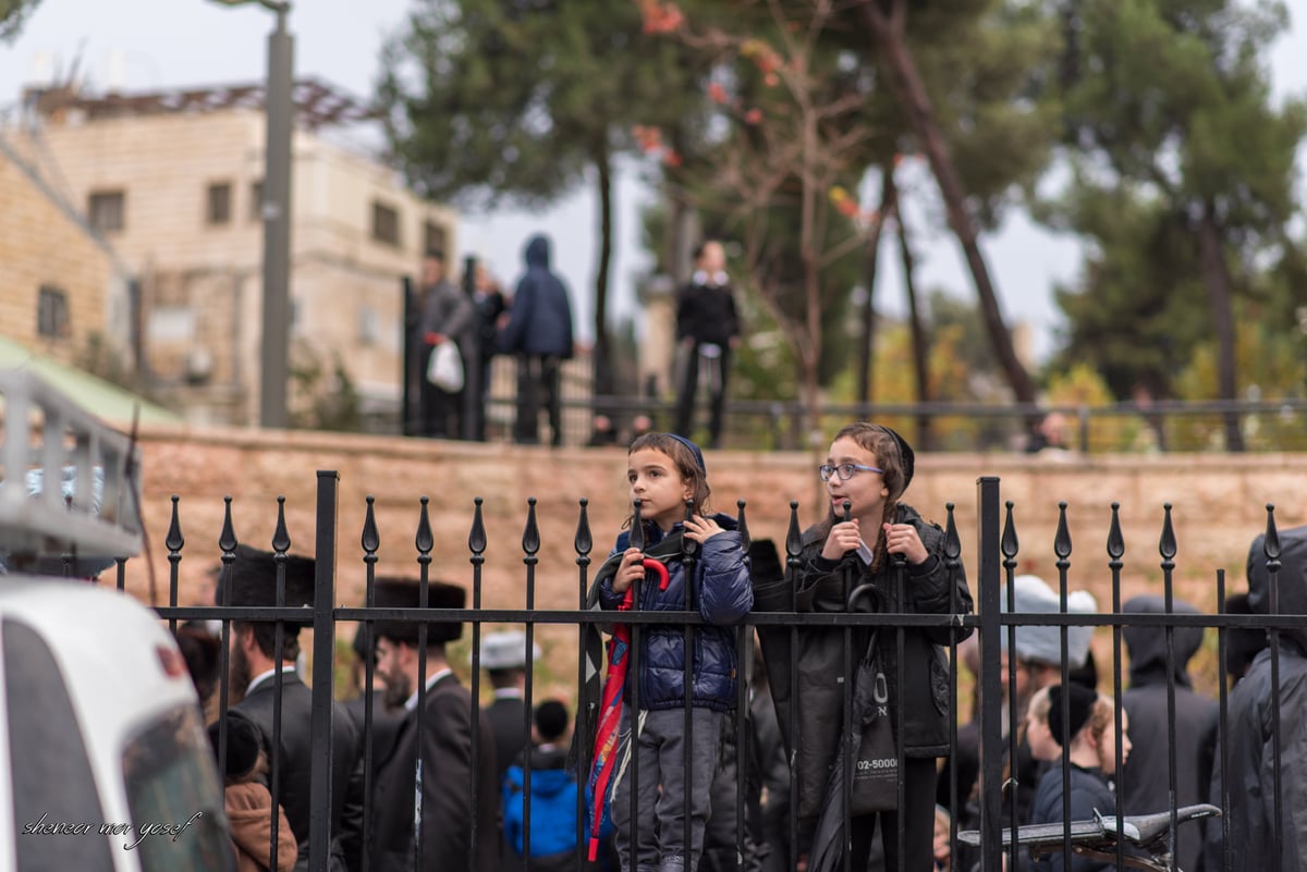 100 רגעים: החב"דניקים תיעדו את החופה בגור