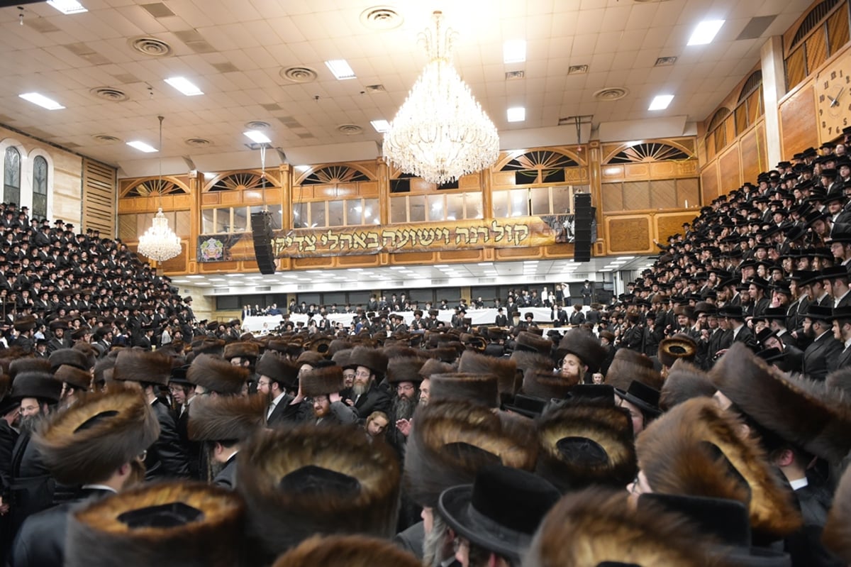 אלפים בשמחת החתונה לנכד האדמו"ר מסאטמר