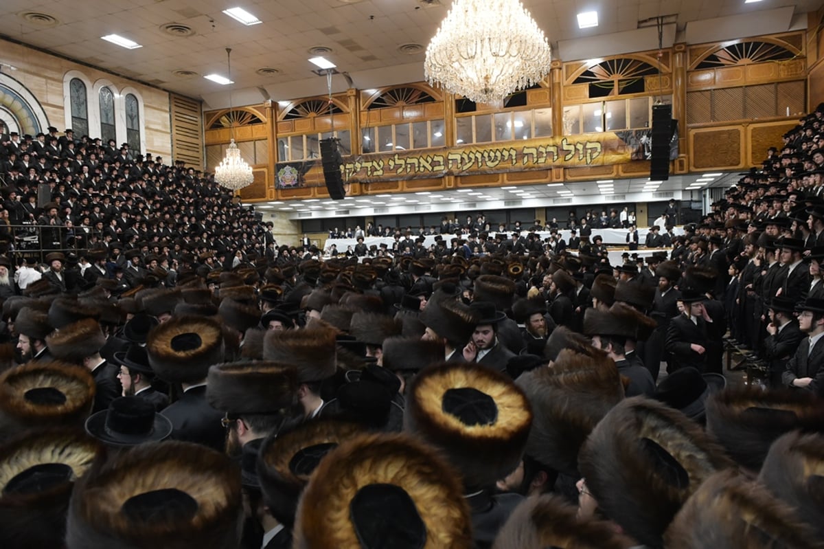 אלפים בשמחת החתונה לנכד האדמו"ר מסאטמר