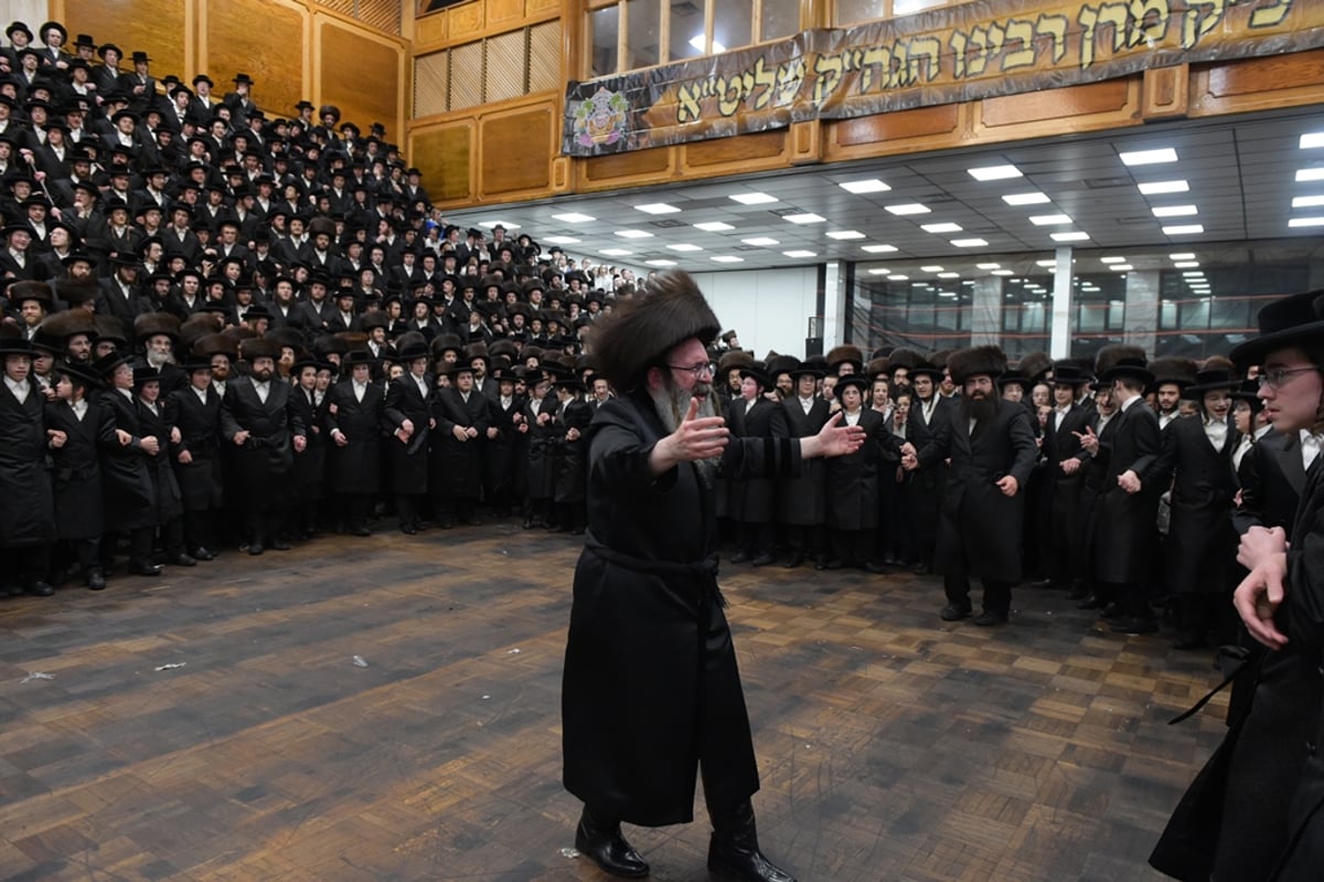 אלפים בשמחת החתונה לנכד האדמו"ר מסאטמר