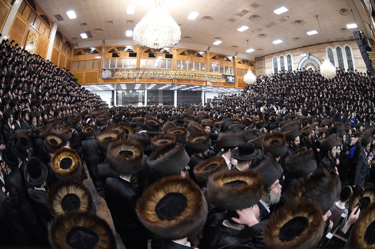 אלפים בשמחת החתונה לנכד האדמו"ר מסאטמר