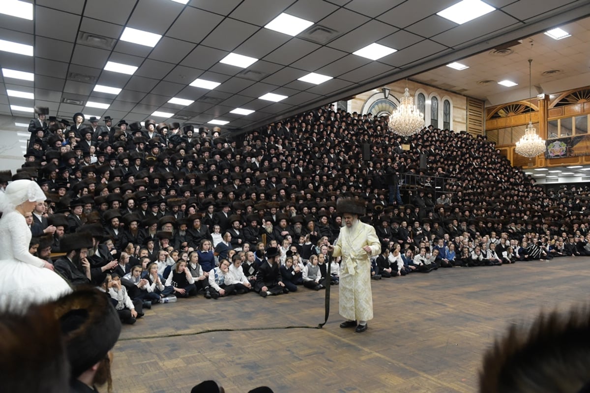 אלפים בשמחת החתונה לנכד האדמו"ר מסאטמר