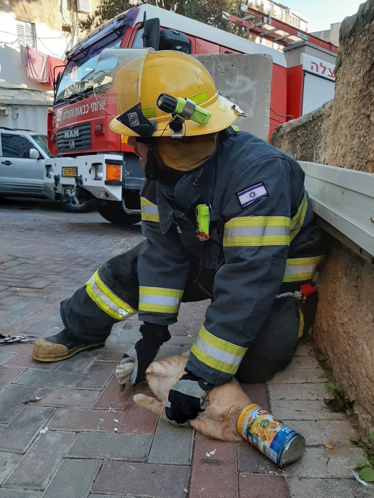 לוחמי האש הוזעקו לחלץ חתול מקופסת שימורים • תיעוד