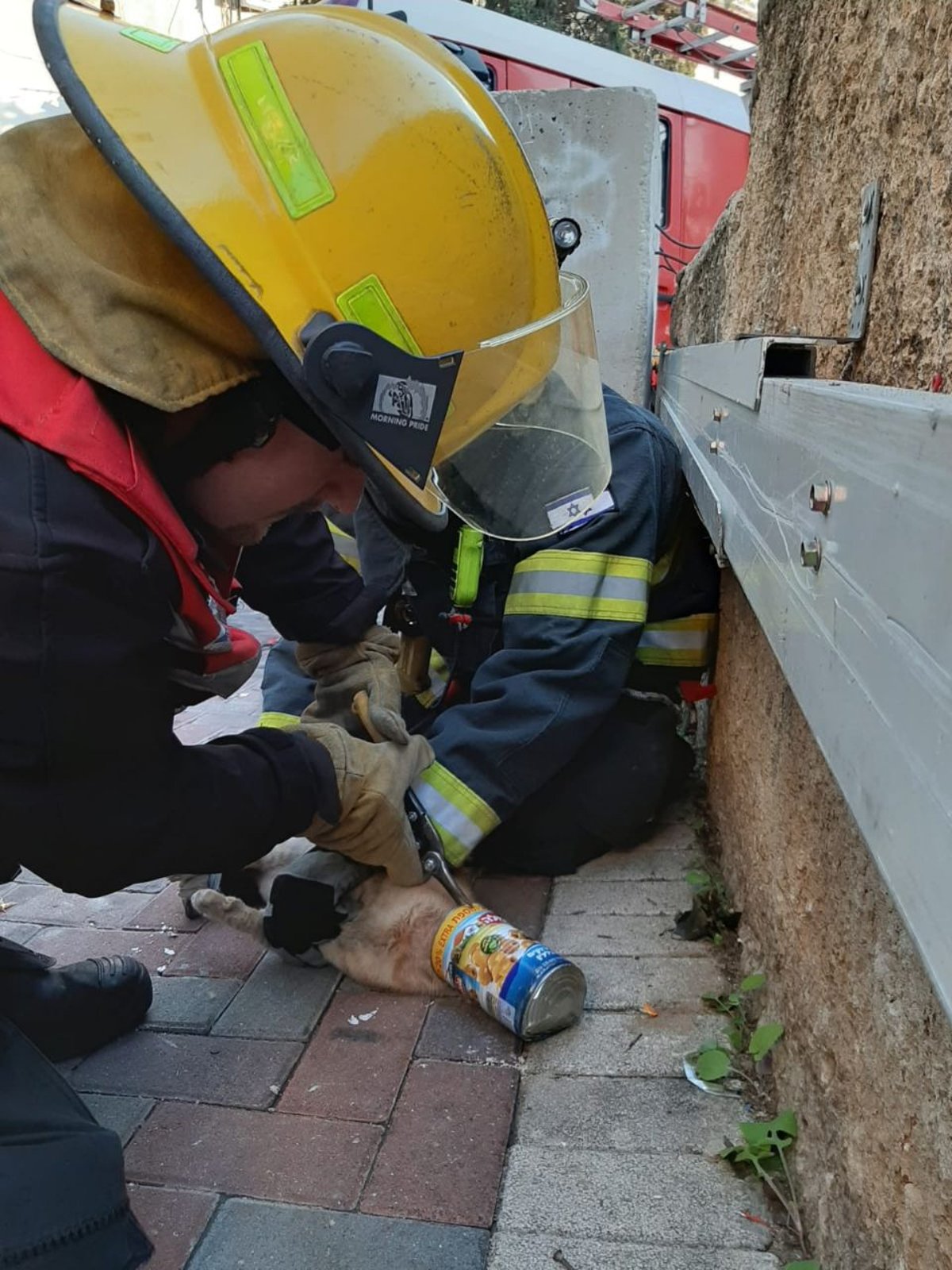 לוחמי האש הוזעקו לחלץ חתול מקופסת שימורים • תיעוד