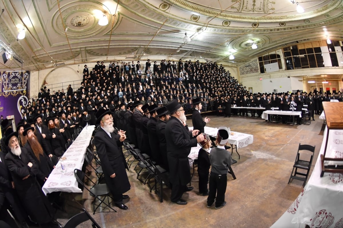 האדמו"רים מויז'ניץ וספינקא ערכו 'חלאקה' לנכדם