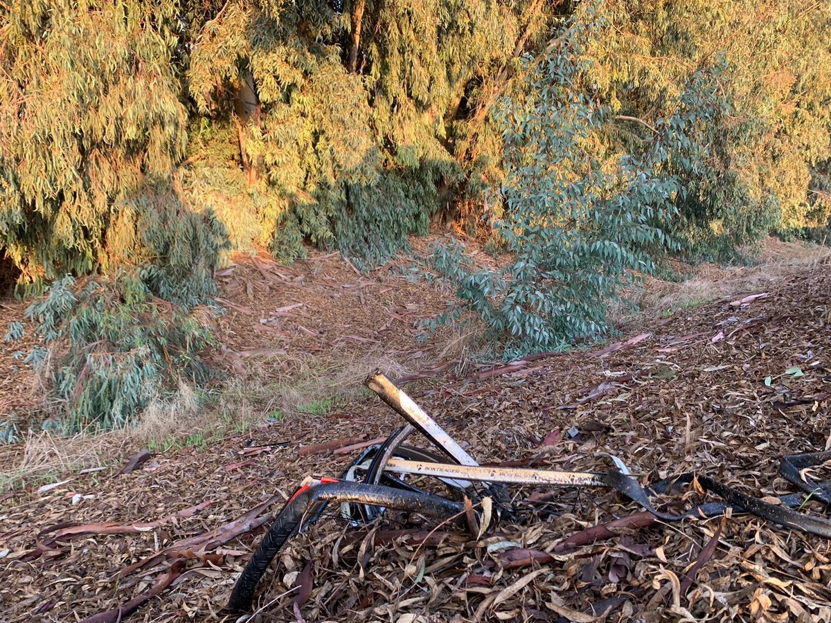 מחריד: שני רוכבי אופניים נפגעו מרכב ונהרגו