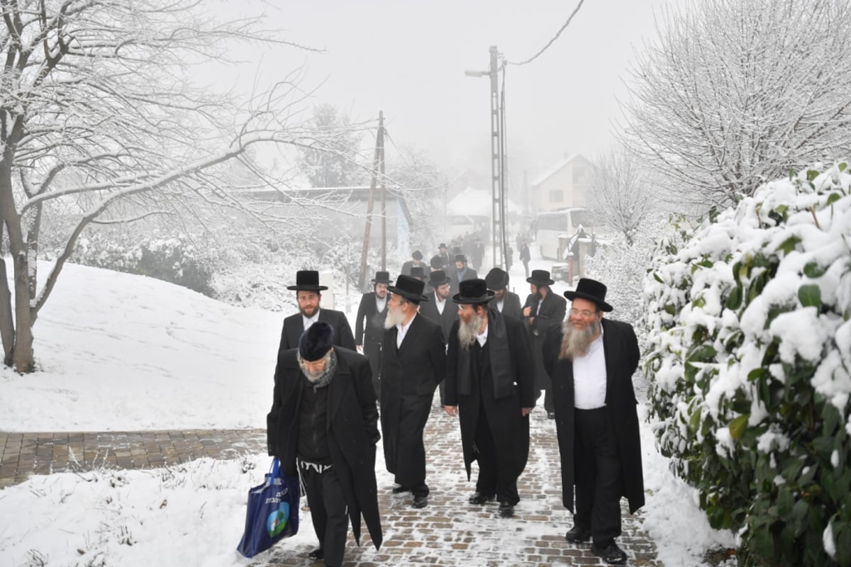 בהונגריה: וועידה לתומכי 'סערט ויז'ניץ'