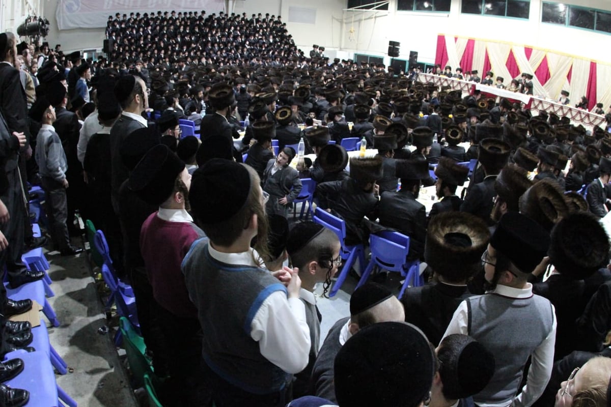 חסידי ויז'ניץ באשדוד ערכו שבע ברכות לאדמו"ר