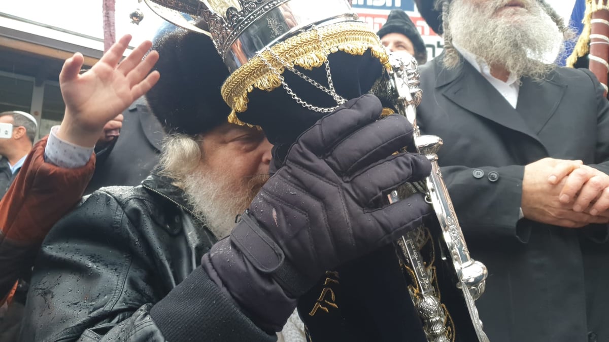 ערב שבת חנוכה באומן: הכנסת ספר תורה לציון רבי נחמן