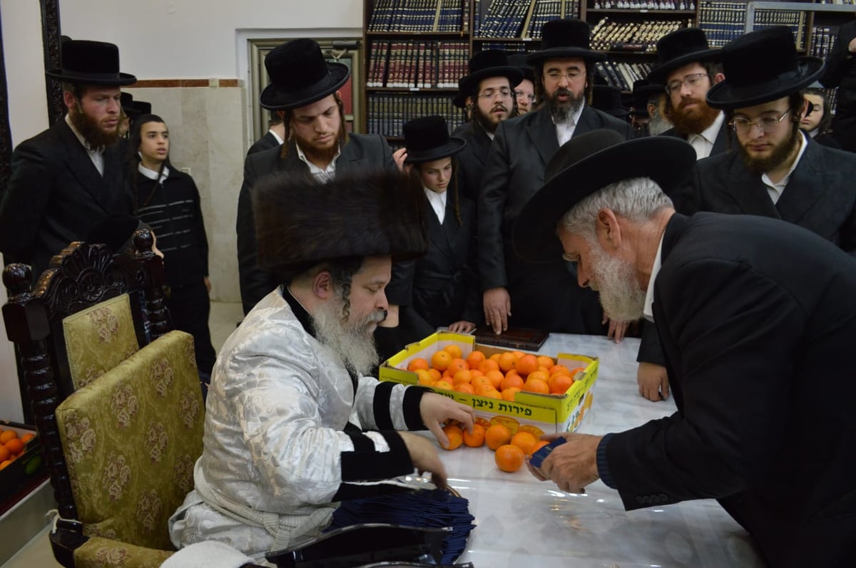 'טיש זאת חנוכה' בחצר הקודש נדבורנה - ביתר