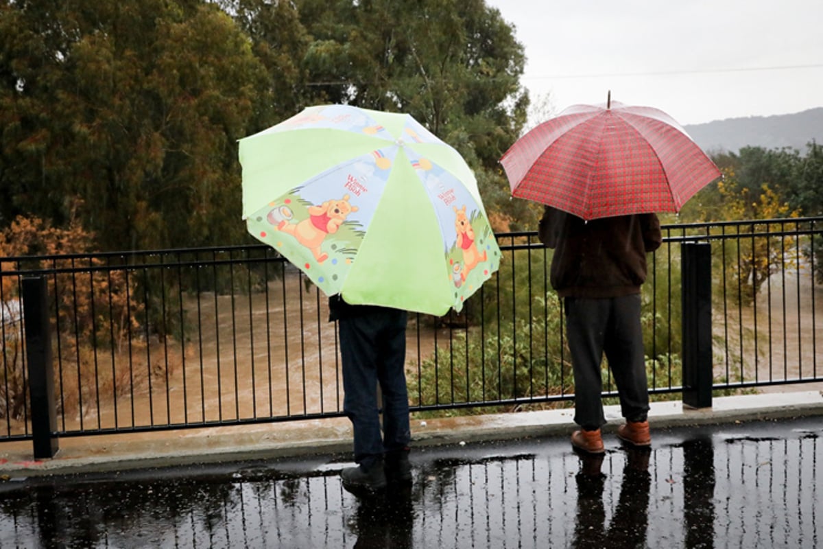 גלריה רטובה: כך נראים נחלי הגולן אחרי הגשם