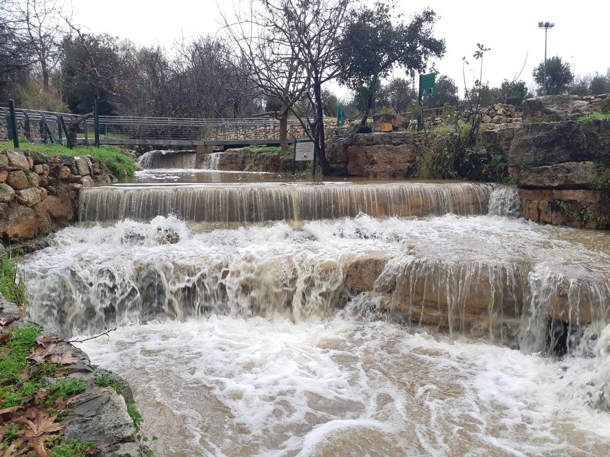 גשמי ברכה • צפו בזרימה החזקה בנחלים