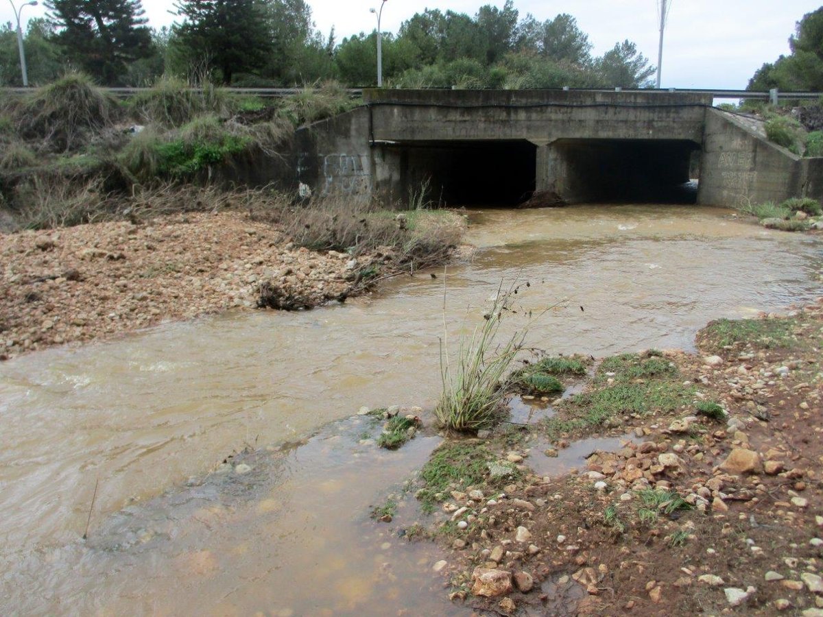 אחרי הגשמים: צפו בנחלים שזורמים לירקון